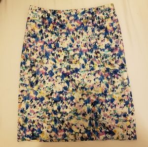 Ann Taylor Skirt